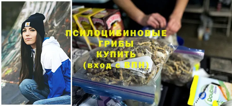 Псилоцибиновые грибы GOLDEN TEACHER  Бикин 